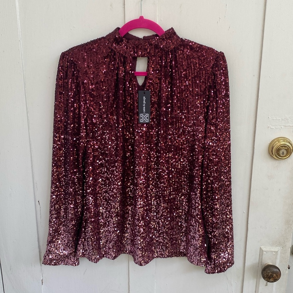Cable & Gauge Rose Burgundy Sequin Long-Sleeve Blouse